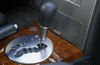 2004 Nissan Maxima Center Console Picture